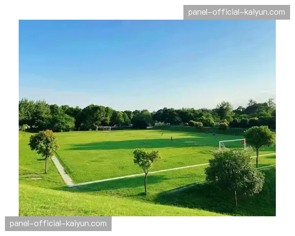 欧足联草坪高度规定：天然草坪不得超过30毫米